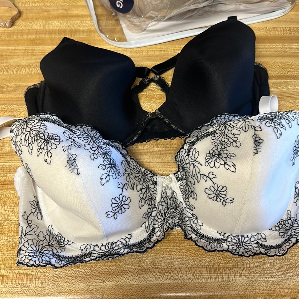 Be tempted and cutie bras.